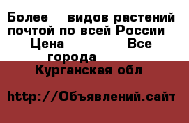 Более200 видов растений почтой по всей России › Цена ­ 100-500 - Все города  »    . Курганская обл.